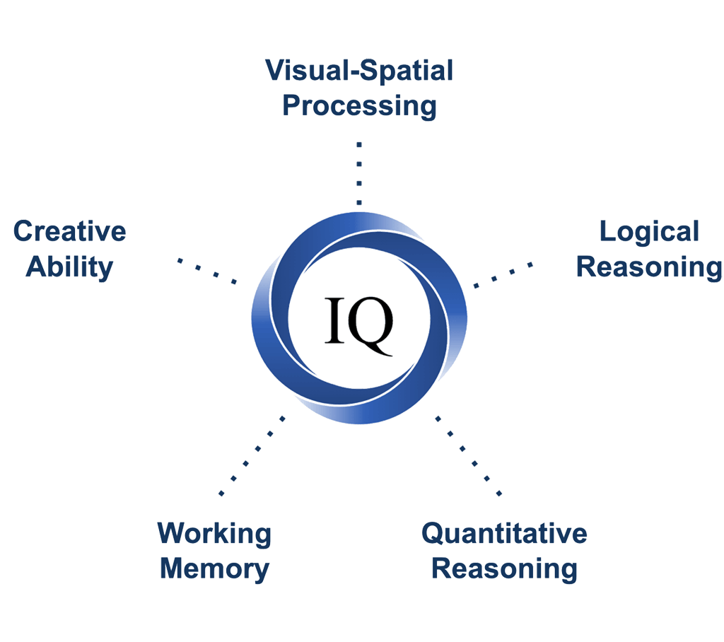 iq test framework